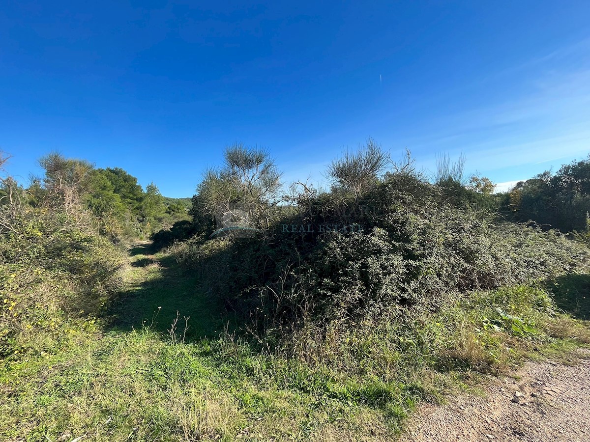 Land For sale TRIBUNJ