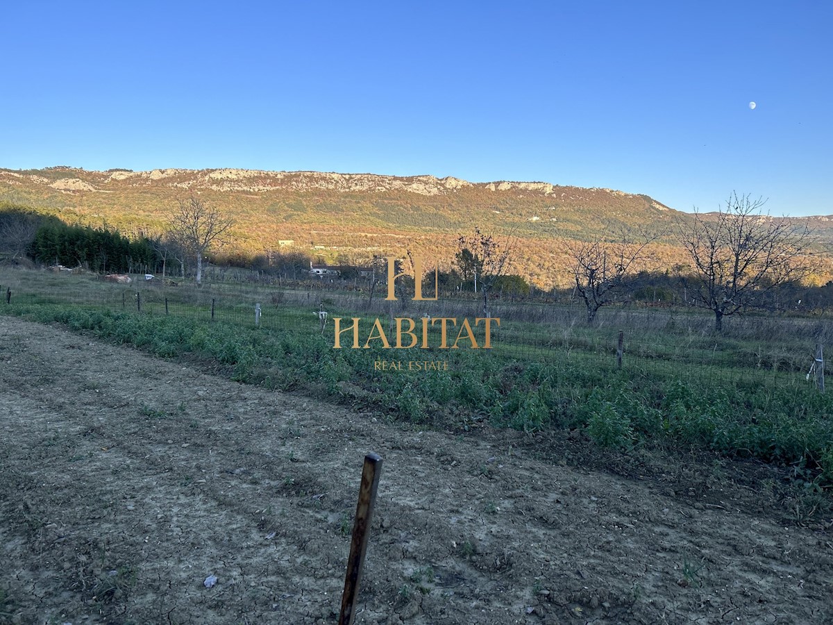 Land For sale - ISTARSKA BUZET