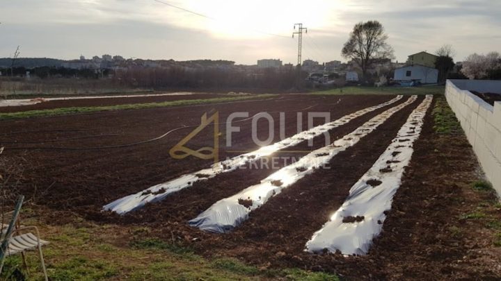 Parcela na predaj 1341 m² – Pula