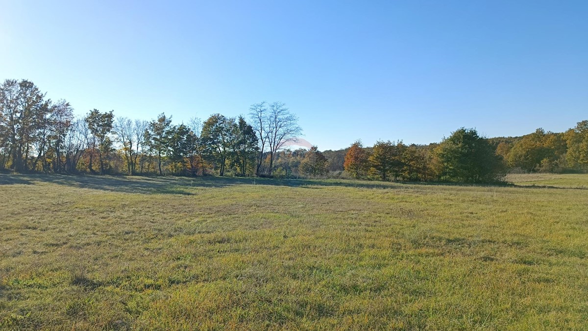 Land For sale DRAGUZETI