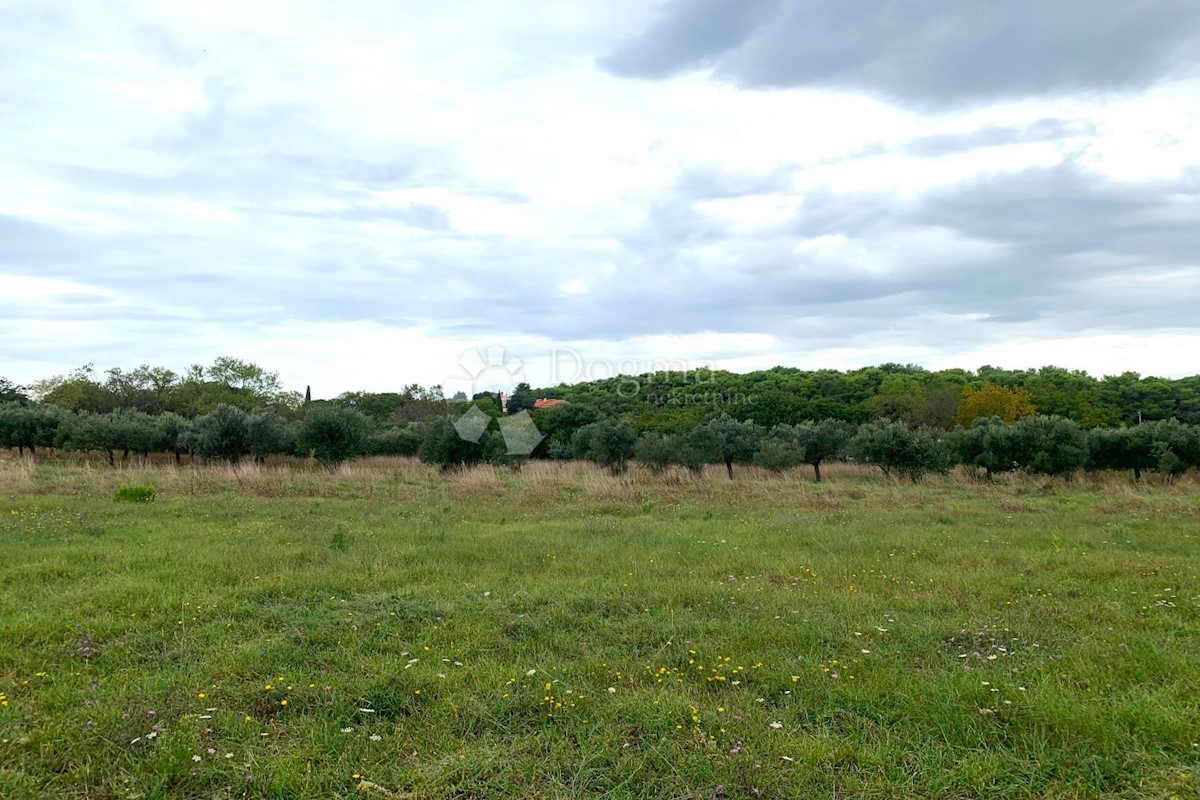 Terreno In vendita - ISTARSKA PULA