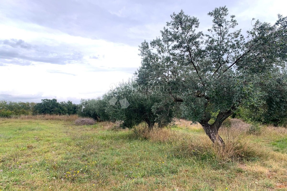 Terreno In vendita - ISTARSKA PULA