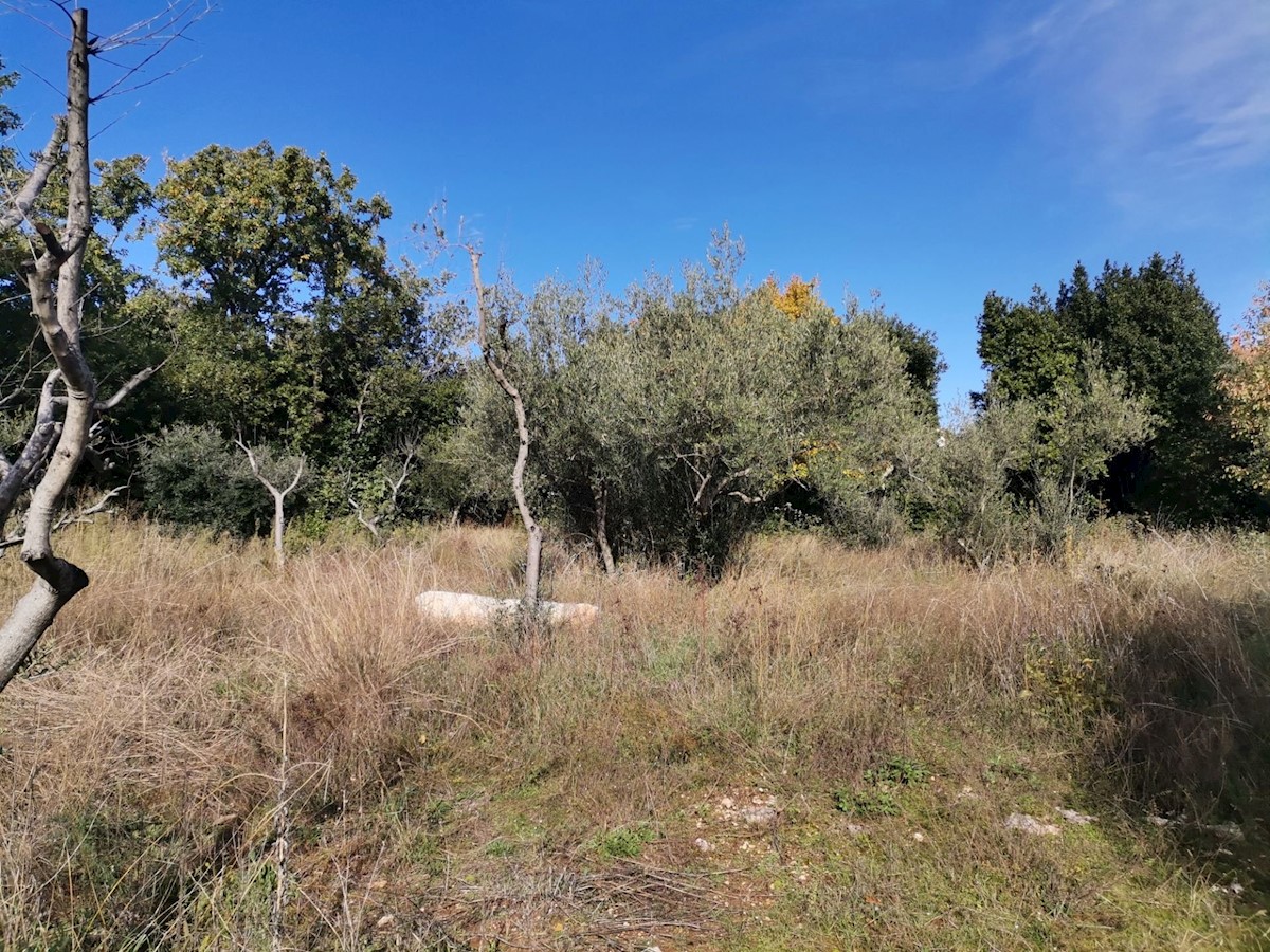 Terrain À vendre - Istarska Poreč - foto 4/5