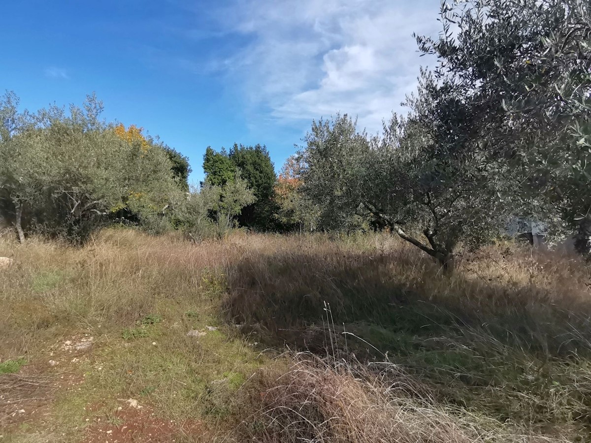 Parcela Naprodaj - ISTARSKA Poreč