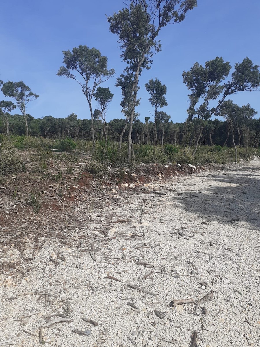 Terreno In vendita - ISTARSKA MARČANA