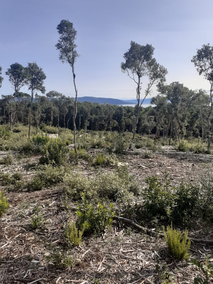 Terreno In vendita - ISTARSKA MARČANA