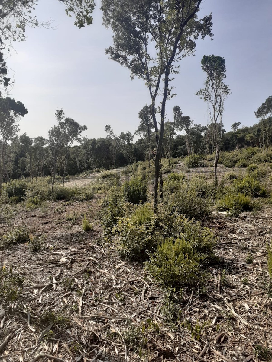 Terreno In vendita - ISTARSKA MARČANA