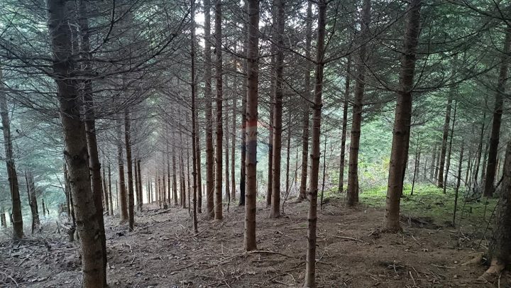Parcela Naprodaj - Primorsko-goranska Vrbovsko - foto 2/5