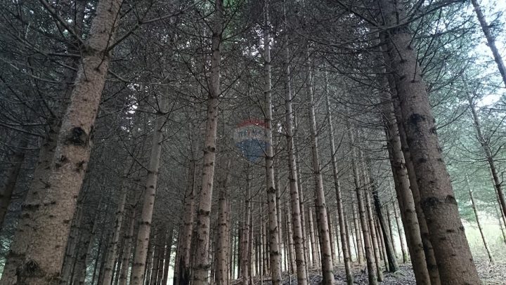 Parcela Naprodaj - Primorsko-goranska Vrbovsko - foto 3/5