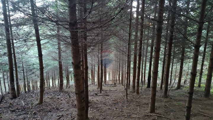 Parcela Naprodaj - Primorsko-goranska Vrbovsko - foto 5/5