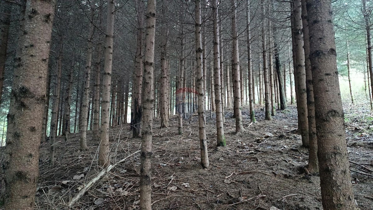 Zemljište Na prodaju - PRIMORSKO-GORANSKA VRBOVSKO