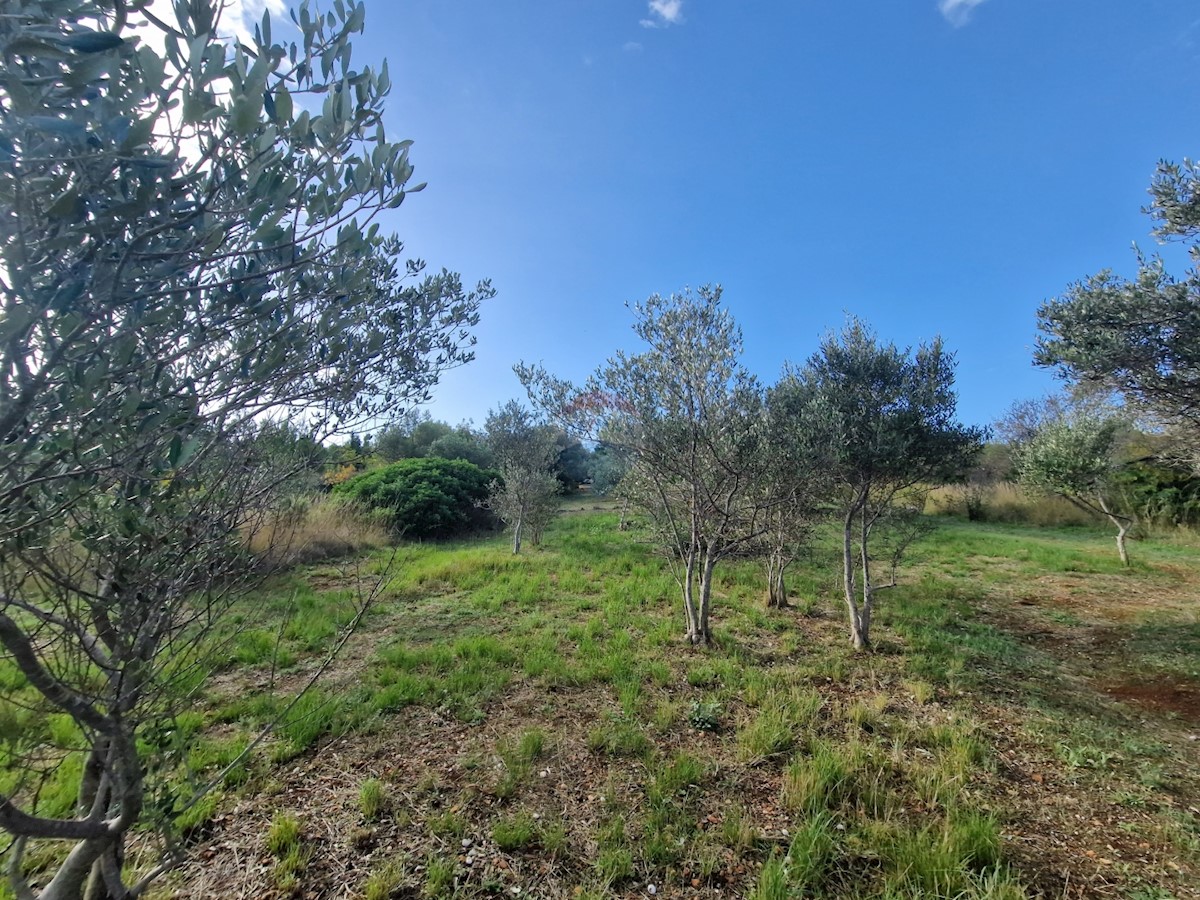 Land For sale - ŠIBENSKO-KNINSKA VODICE