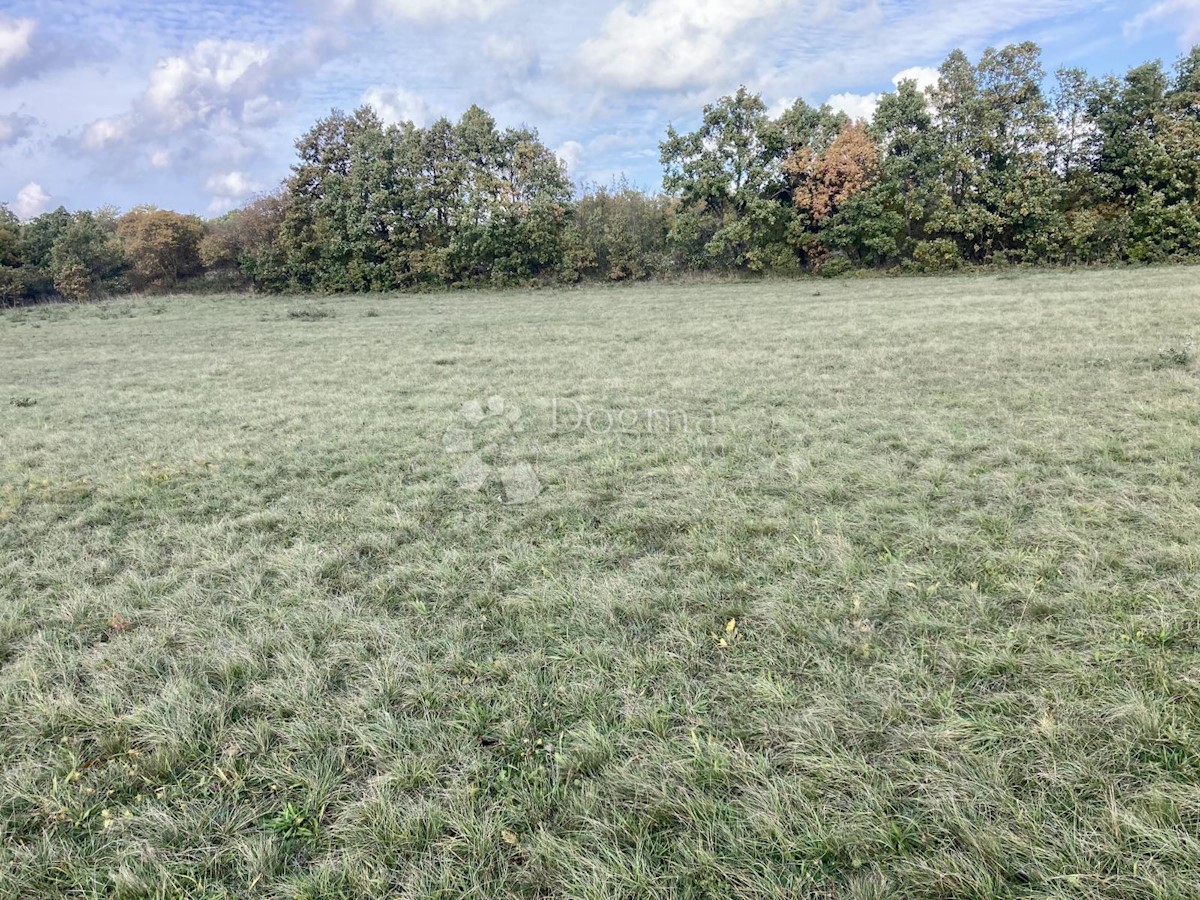 Land For sale - ISTARSKA ŽMINJ