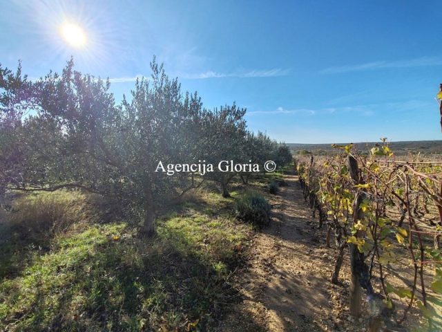 Land For sale - Zadarska Novigrad - foto 2/6