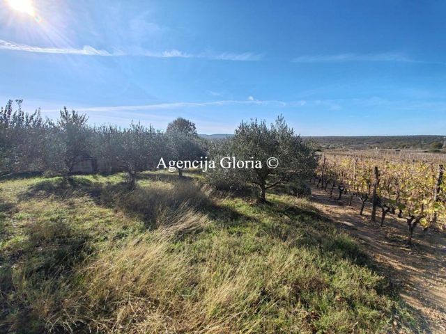 Land For sale - Zadarska Novigrad - foto 3/6