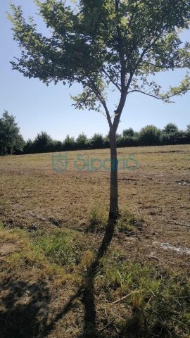 Parcela Naprodaj - Istarska Buje - foto 4/4