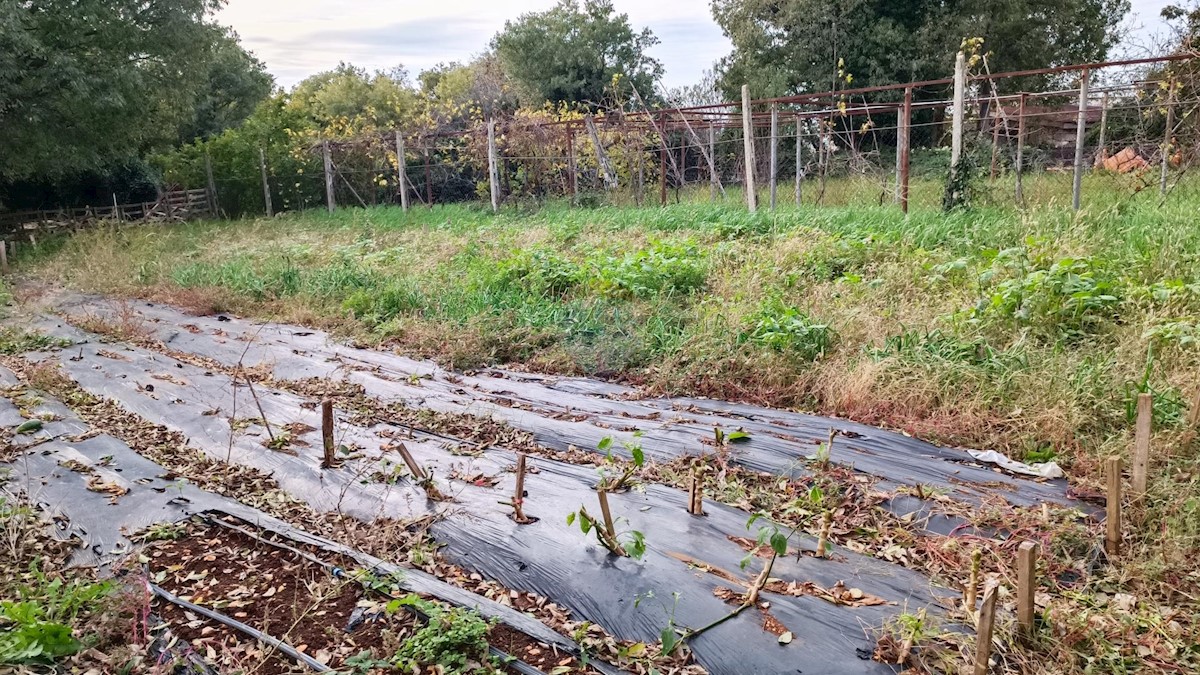 Działka Na sprzedaż - ISTARSKA LIŽNJAN