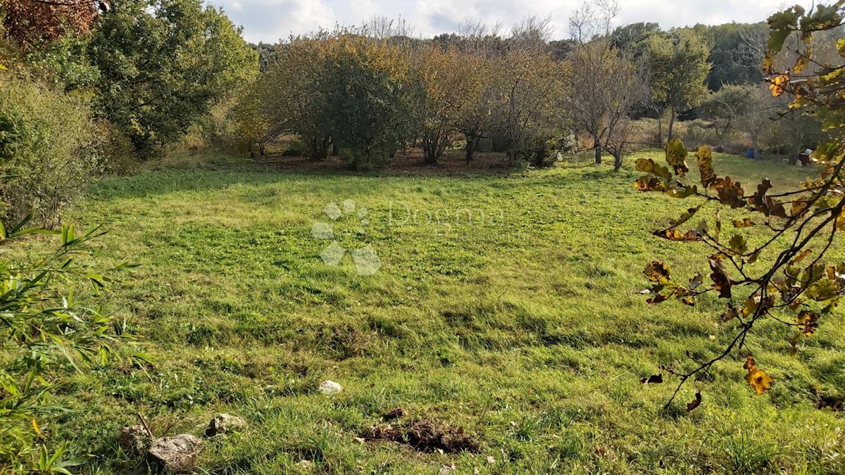 Zemljište Na prodaju - ISTARSKA MEDULIN