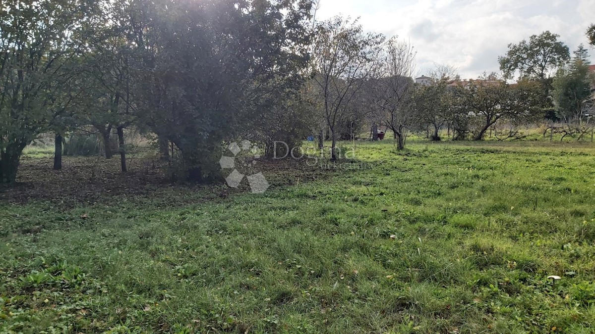 Zemljište Na prodaju - ISTARSKA MEDULIN
