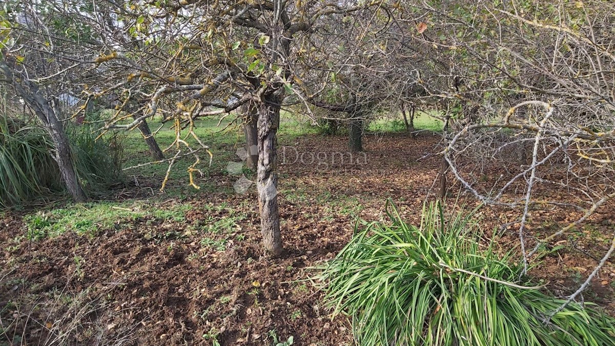Land For sale - ISTARSKA Medulin