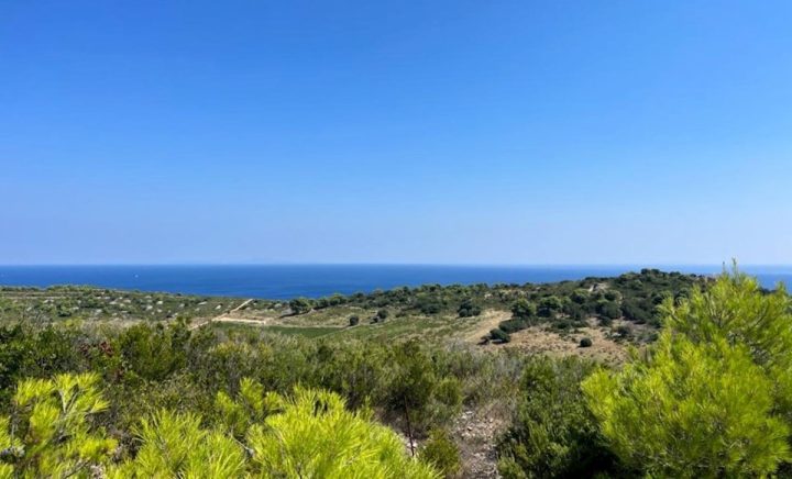 Terrain à vendre 23450 m² – Vis