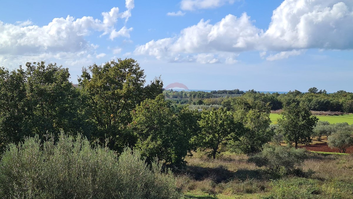 Dom Na predaj - ISTARSKA POREČ