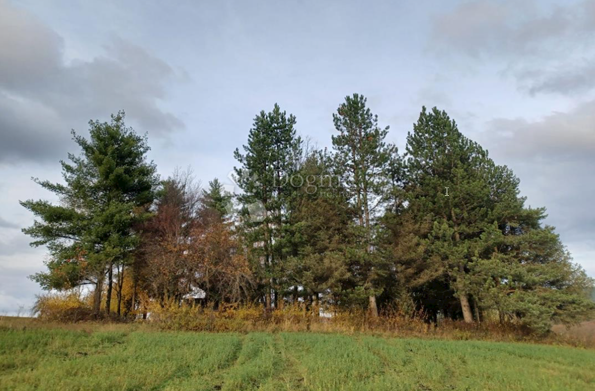 Terreno In vendita - KARLOVAČKA RAKOVICA