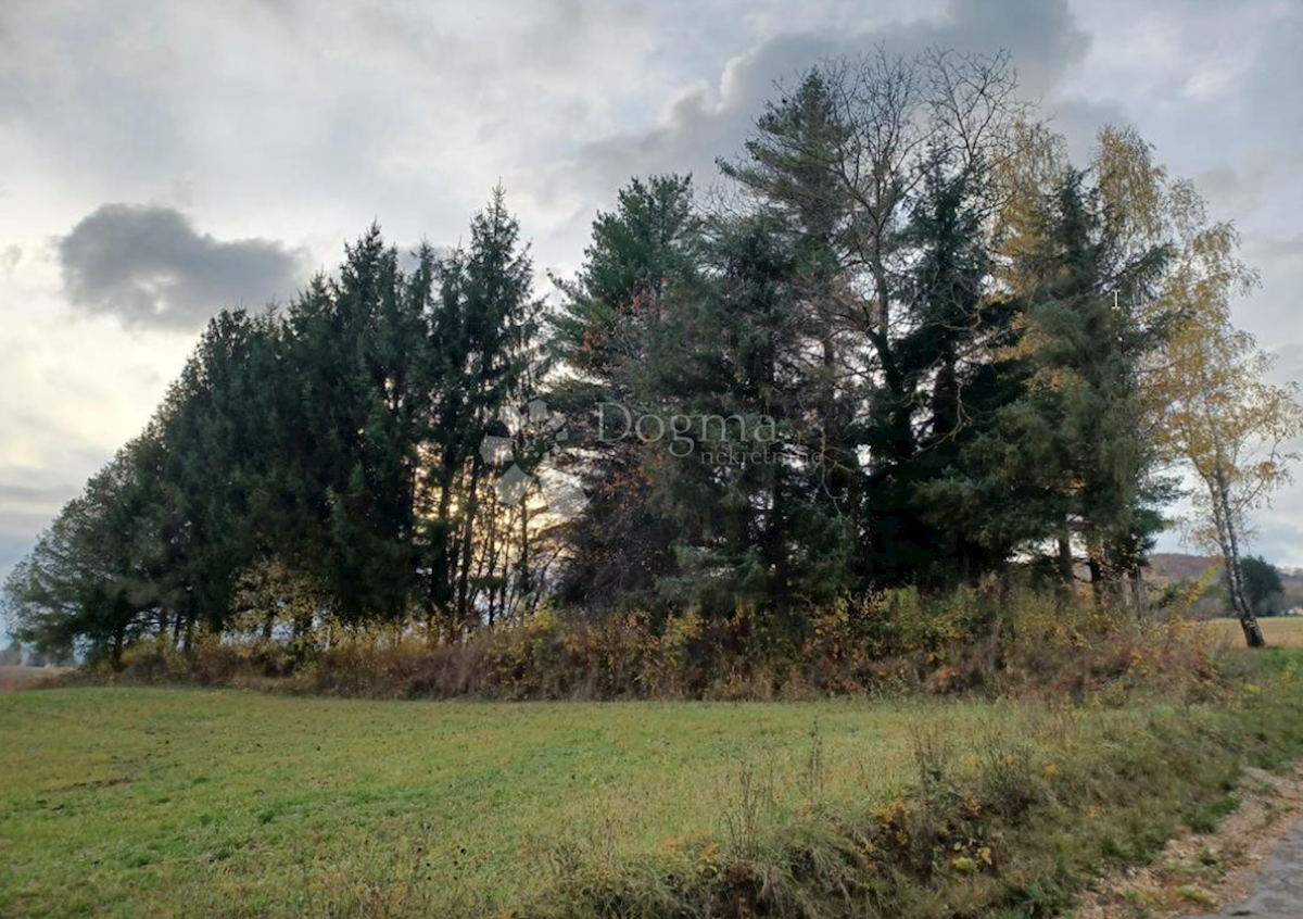 Terreno In vendita - KARLOVAČKA RAKOVICA