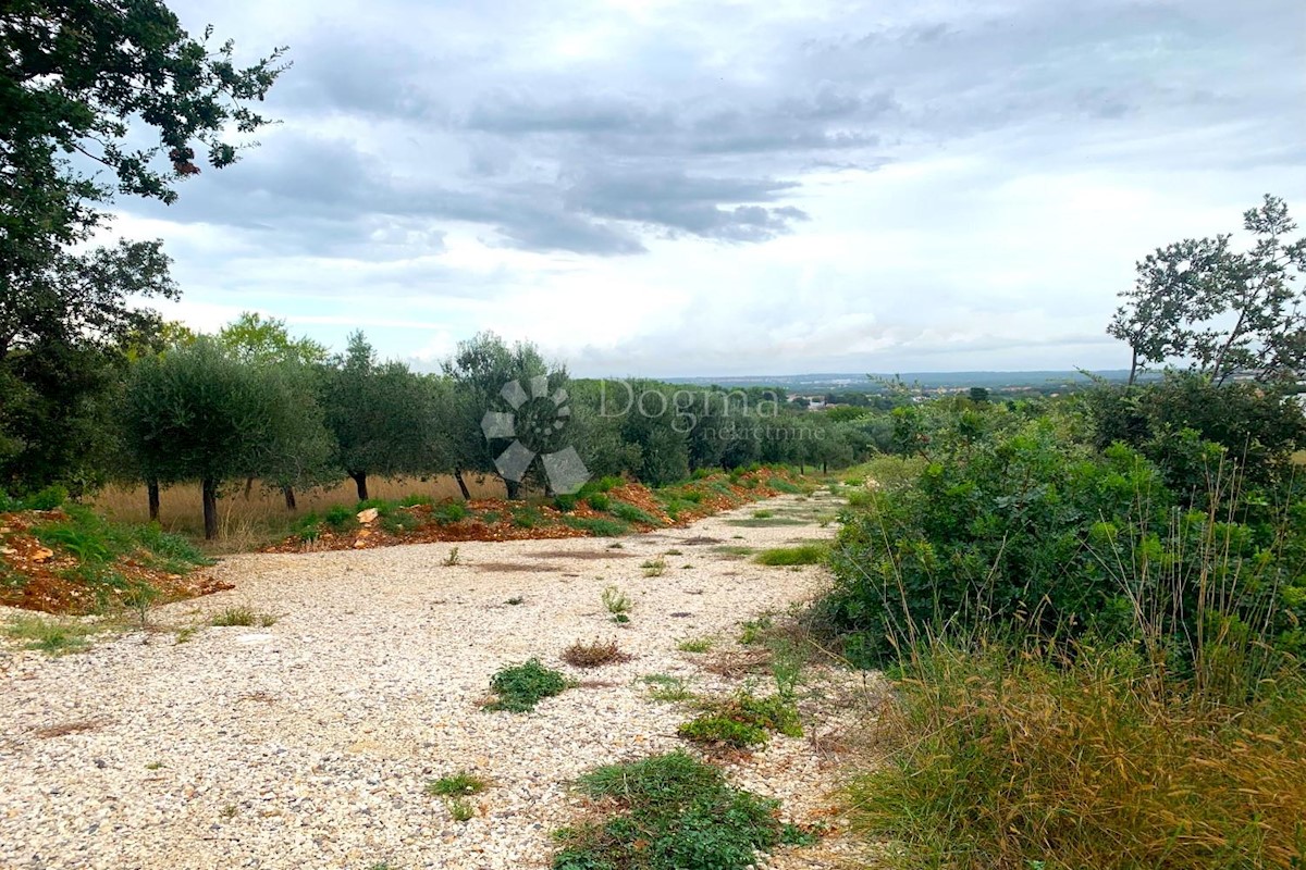 Pozemek Na prodej - ISTARSKA PULA