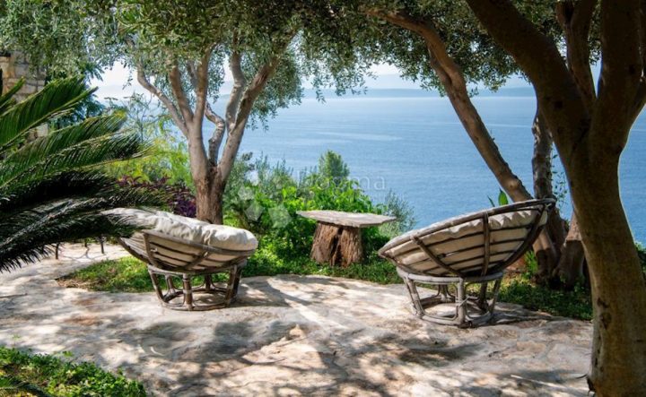 Maison À vendre - Splitsko-dalmatinska Brač - foto 4/20