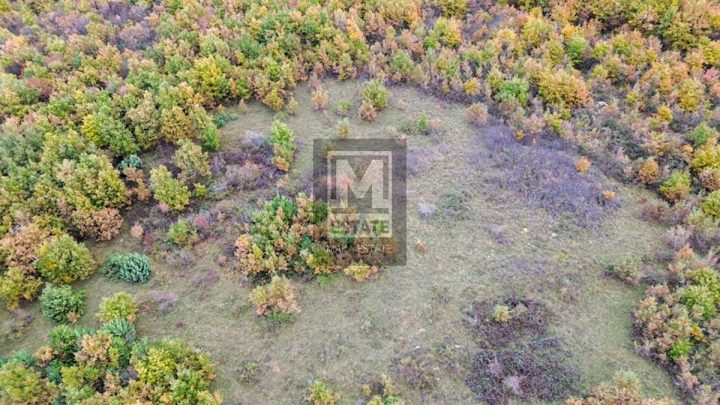 Terrain à vendre 40000 m² – Poreč