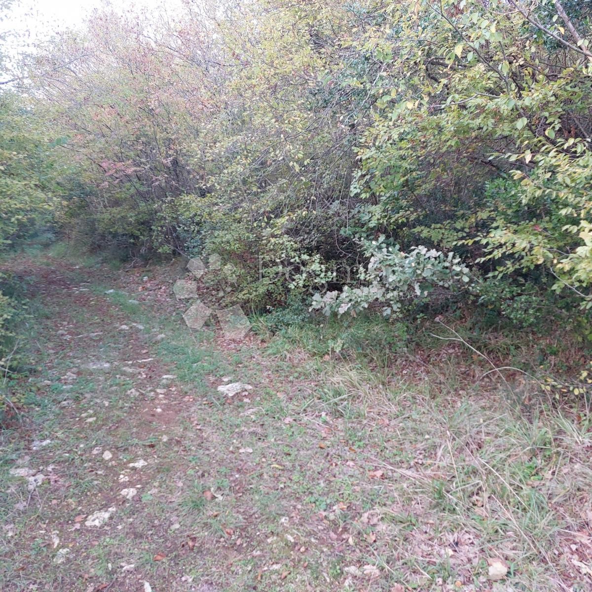 Pozemok Na predaj - ISTARSKA SVETI LOVREČ
