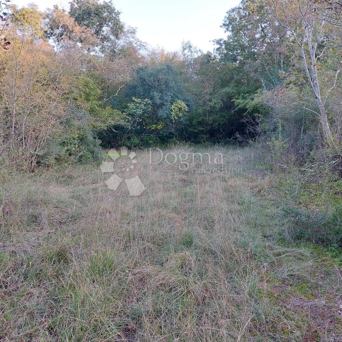 Pozemok Na predaj - ISTARSKA SVETI LOVREČ