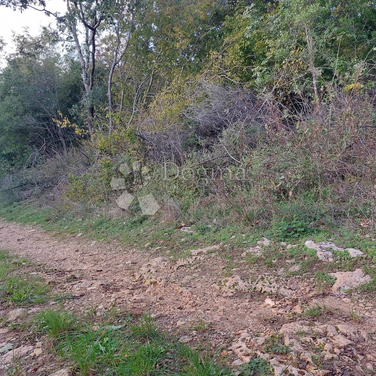 Pozemok Na predaj - ISTARSKA SVETI LOVREČ