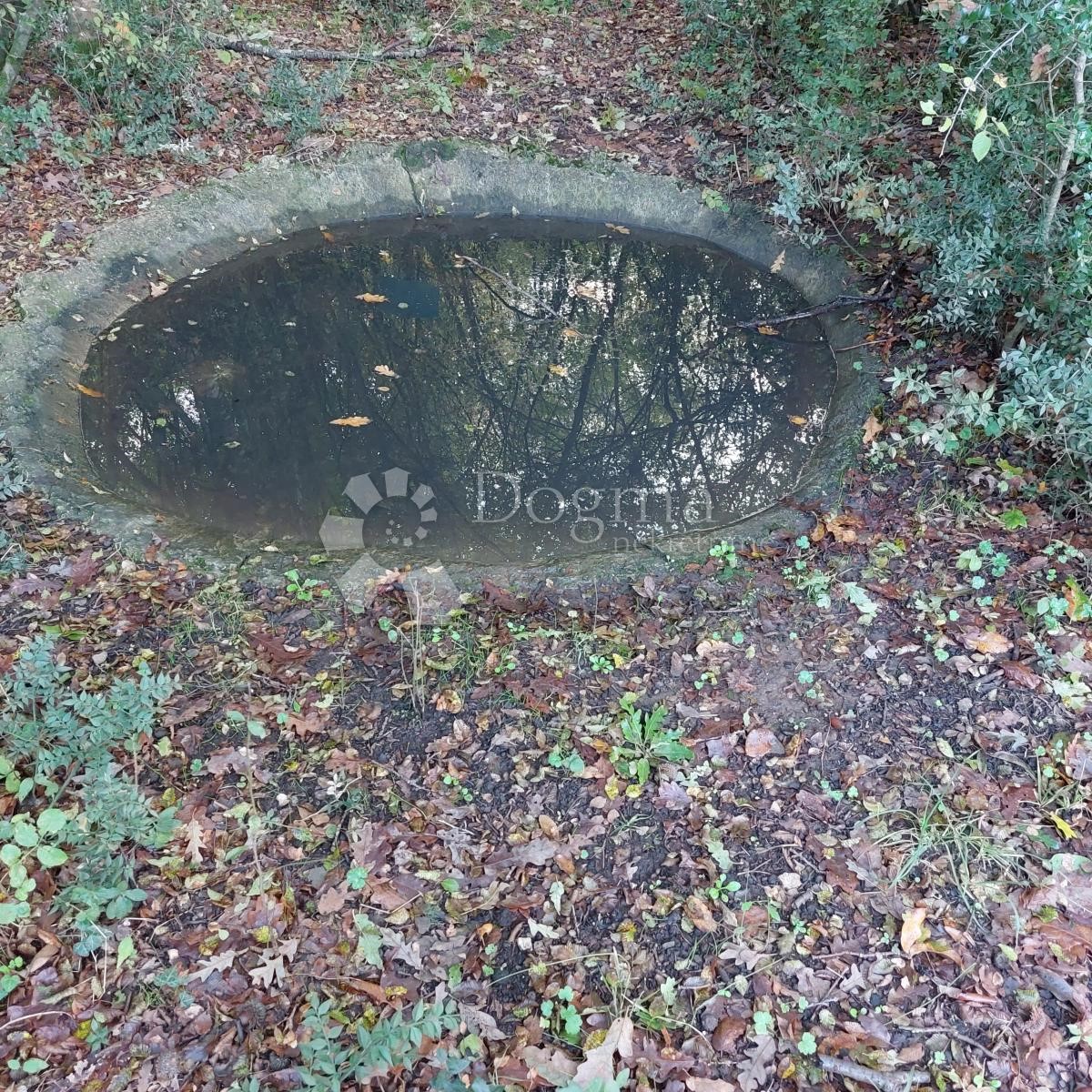 Pozemok Na predaj - ISTARSKA SVETI LOVREČ