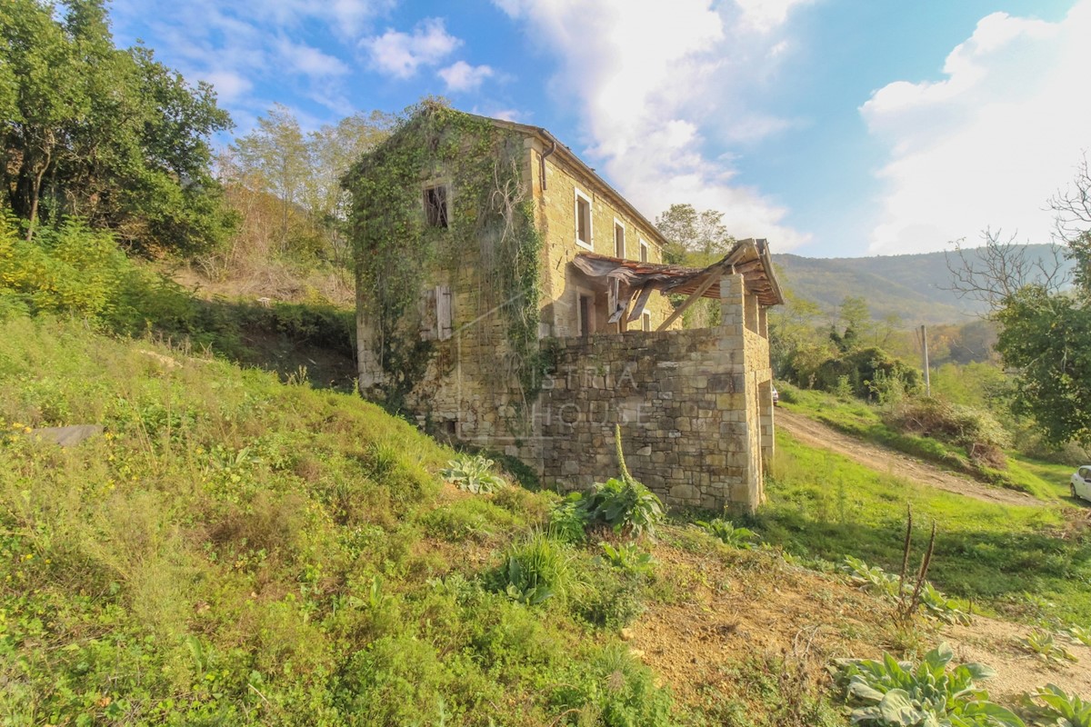 Kuća Na prodaju - ISTARSKA MOTOVUN