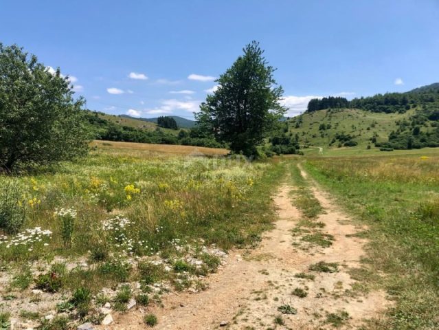 Terrain à vendre 11628 m² – Rovinj