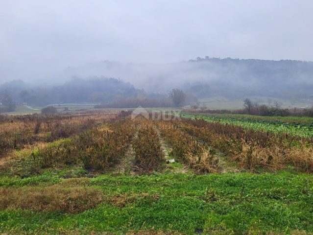 Land for sale 6724 m² – Pićan