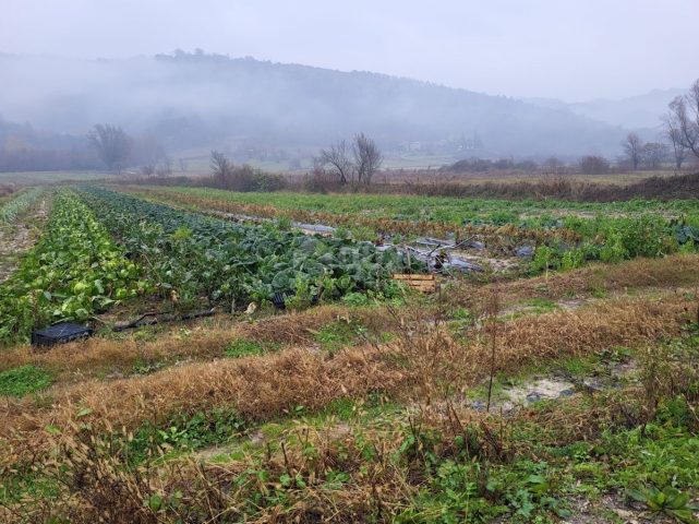 Parcela Naprodaj - Istarska Pićan - foto 2/3