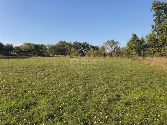 Terreno in vendita 7664 m² – Krnica