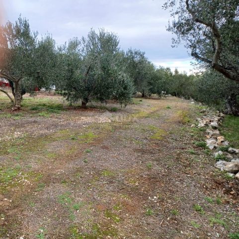 Land For sale KUKLJICA