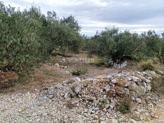 Terrain À vendre - Zadarska Ugljan - foto 2/4