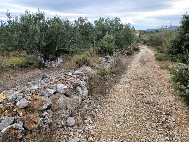 Terrain À vendre - Zadarska Ugljan - foto 3/4