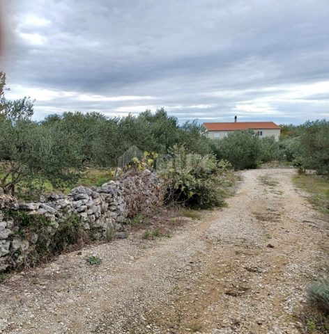 Terrain À vendre - Zadarska Ugljan - foto 4/4