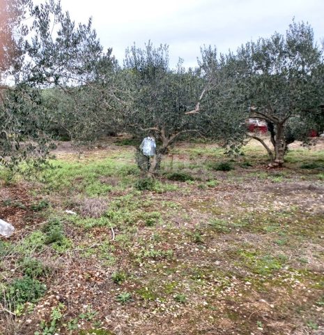 Parcela Naprodaj - Zadarska Ugljan - foto 5/5