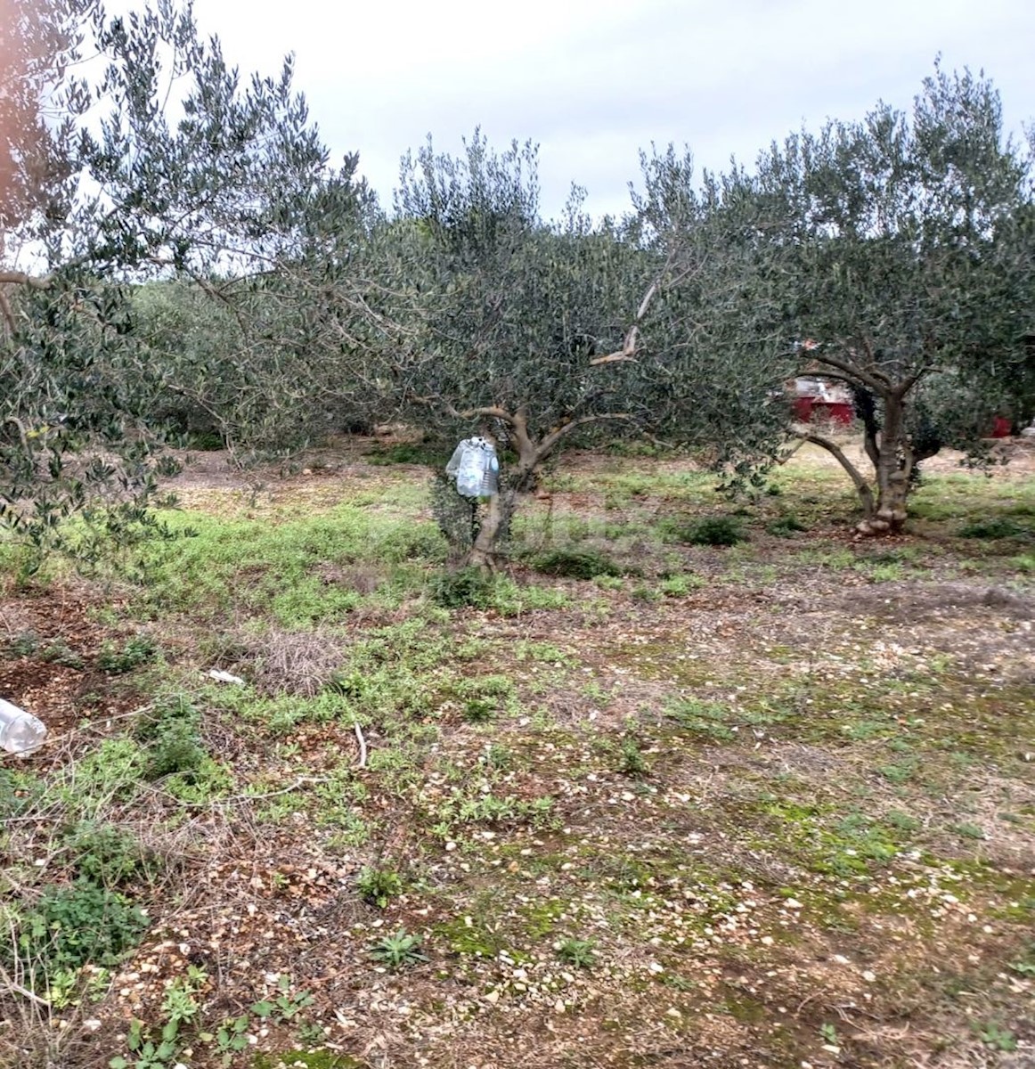 Parcela Naprodaj - ZADARSKA Ugljan