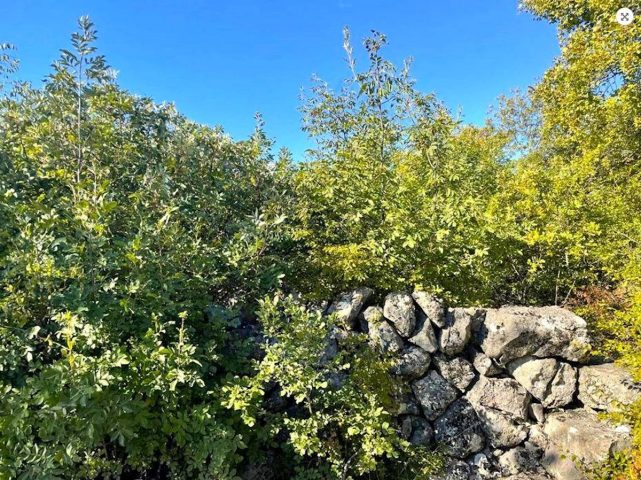 Pozemok na predaj 1525 m² – Vrbnik