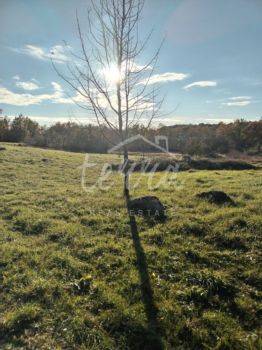 Parcela Na predaj - Istarska Labin - foto 3/4