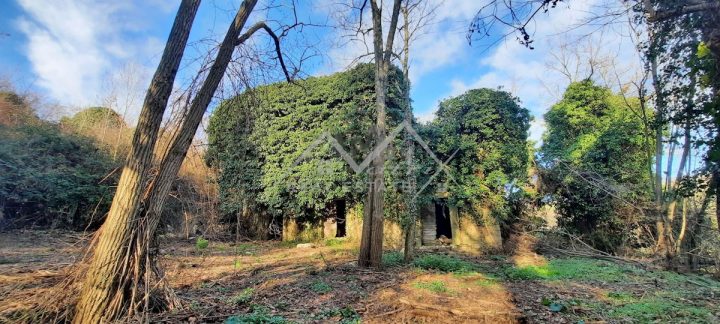 Land for sale 1062 m² – Grožnjan