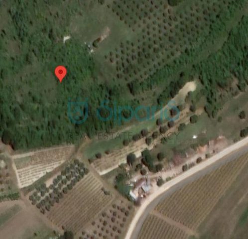 Grundstück zu verkaufen 5578 m² – Krasica